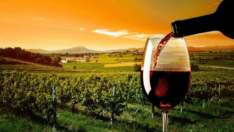 Burgandy Vinyards, wine tasting, France.